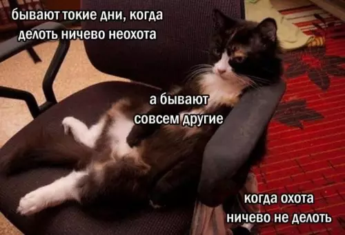 Смешная картинка №803811