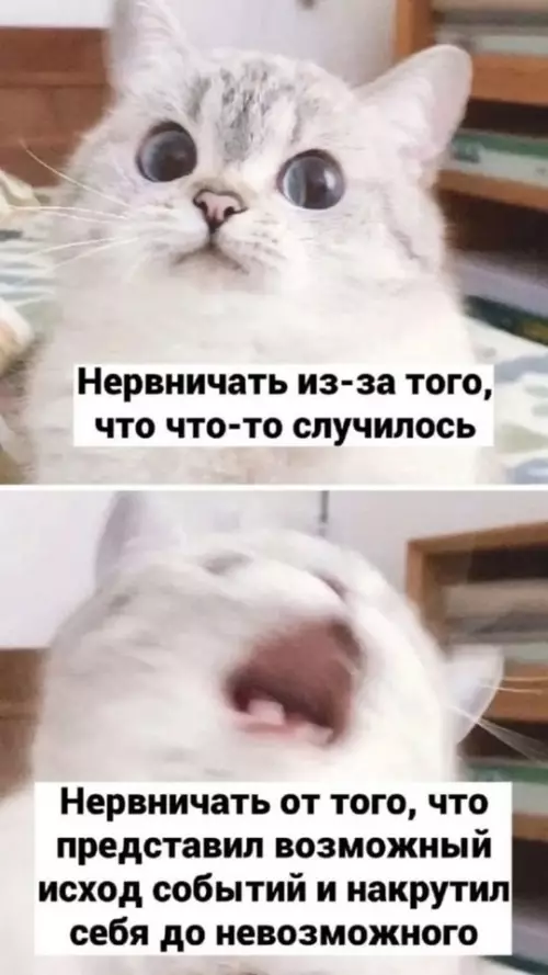 Смешная картинка №775220