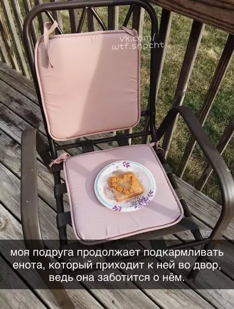 Смешная картинка №437287 Жаль енот ничего не поймет и просто сожрет это