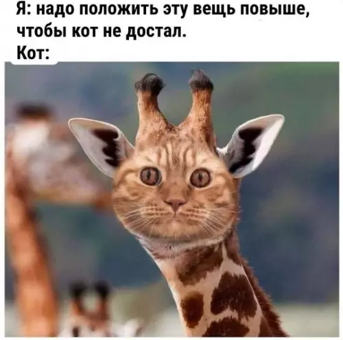 Смешная картинка №753996