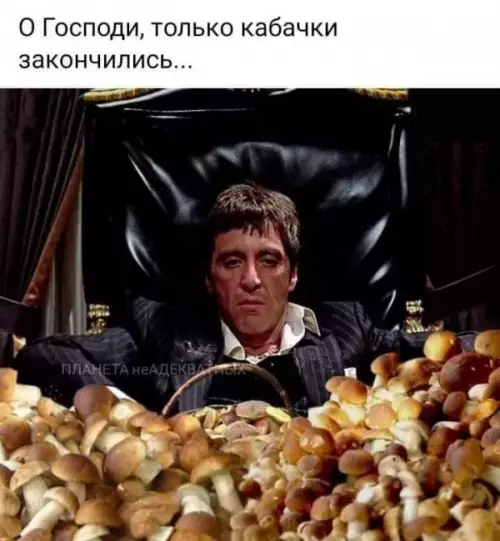Смешная картинка №658247