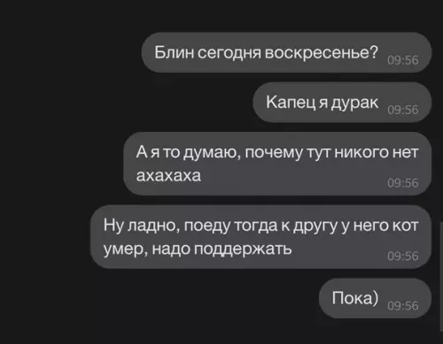 продолжение Смешная картинка №596557
