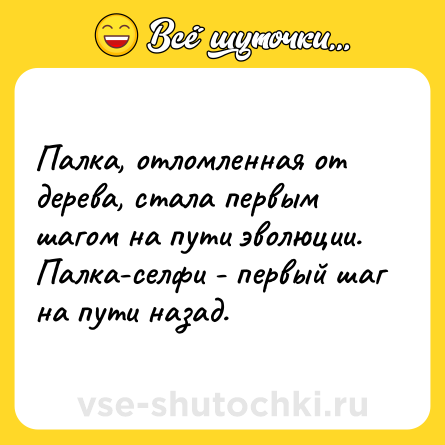 Шутка: Палка, отломленная от дерева, стала первым шагом на пути эволюции. Палка-селфи - первый шаг на пути назад.