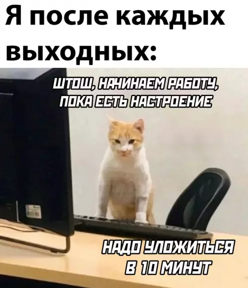 Смешная картинка №655833 Работа