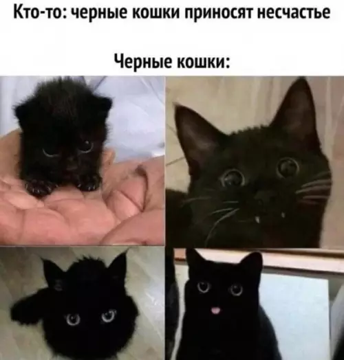 Смешная картинка №658782