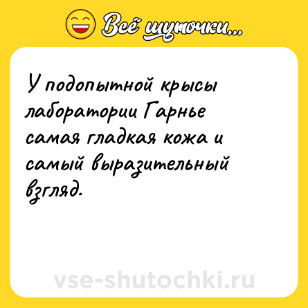 Шутка: У подопытной крысы лаборатории Гарнье самая гладкая кожа и самый выразительный взгляд.<br><br> 
