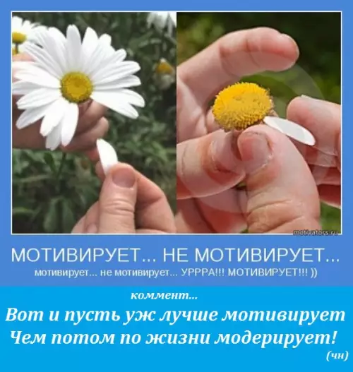 Смешная картинка №231429