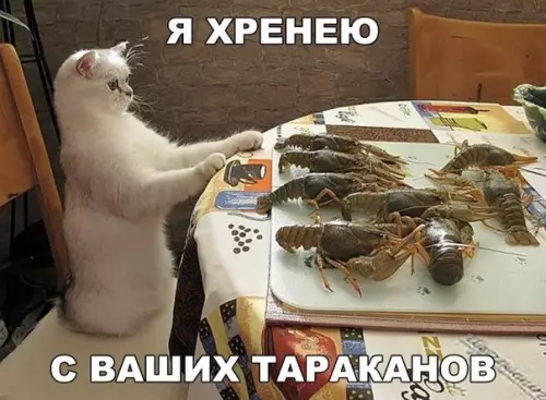 Смешная картинка №237921