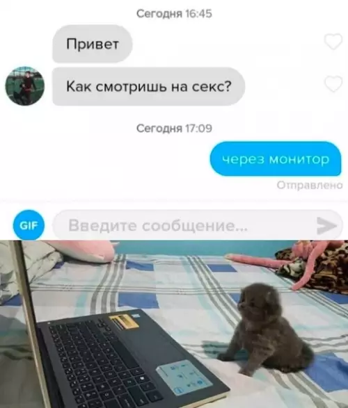 Смешная картинка №675625 Переписка