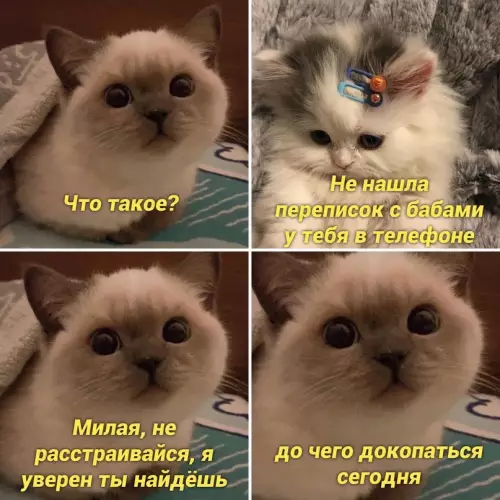Смешная картинка №660927