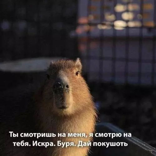 Смешная картинка №694601