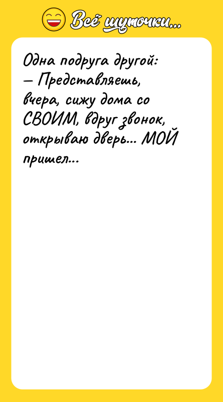 Одна подруга другой:<br/>— Представляешь, вчера, сижу дома со СВОИМ, вдруг
