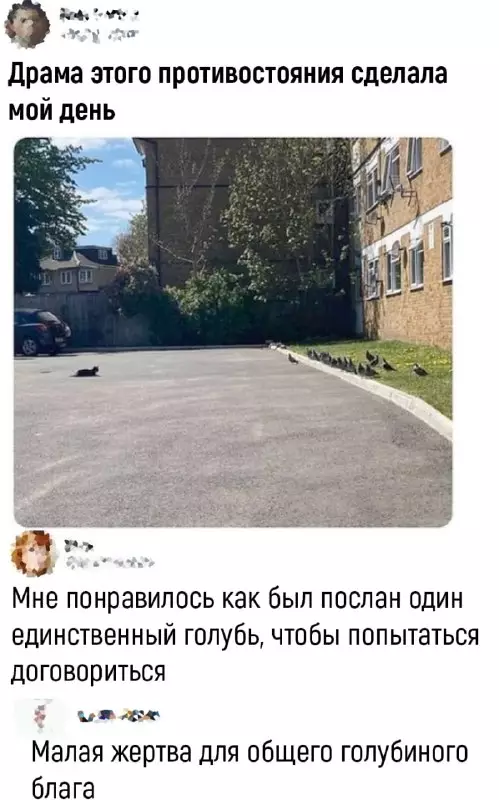 Смешная картинка №662035 Коты