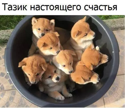 Смешная картинка №318130