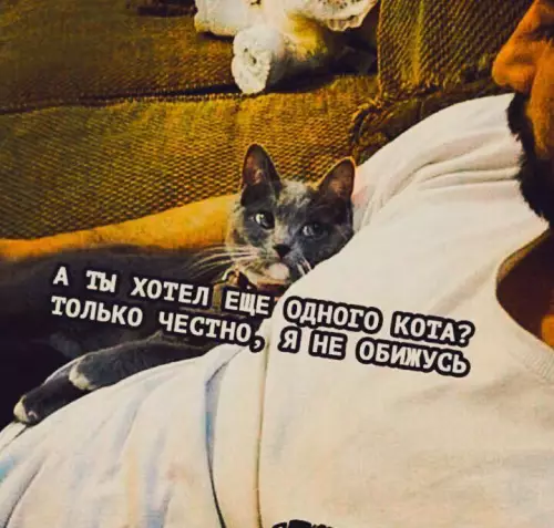 Смешная картинка №724429