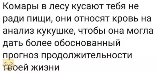 Смешная картинка №408759 #приколы #картинки #мемы ?