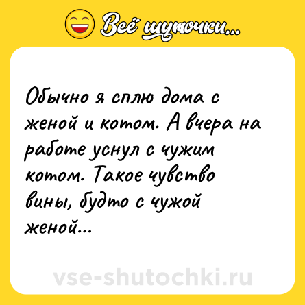 Шутка: Обычно я сплю дома с женой и котом. А вчера на работе уснул с чужим котом. Такое чувство вины, будто с чужой женой…