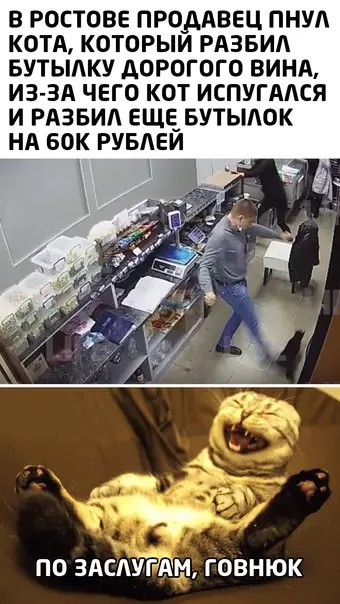 Смешная картинка №586124 коты