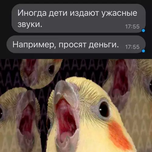 Смешная картинка №654076