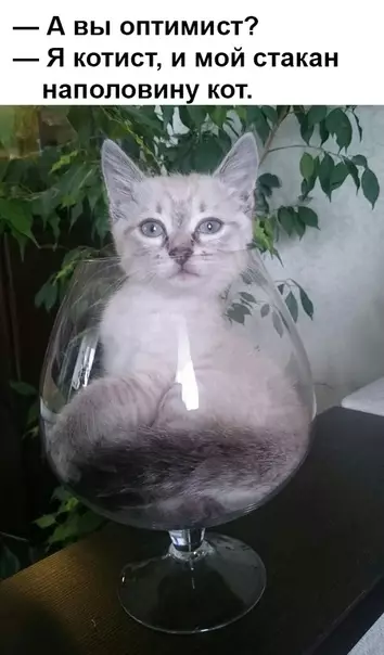 Смешная картинка №328626
