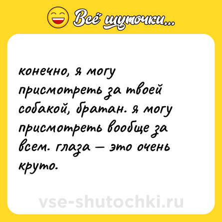 Шутка: конечно, я могу присмотреть за твоей собакой, братан. я могу присмотреть вообще за всем. глаза — это очень круто.