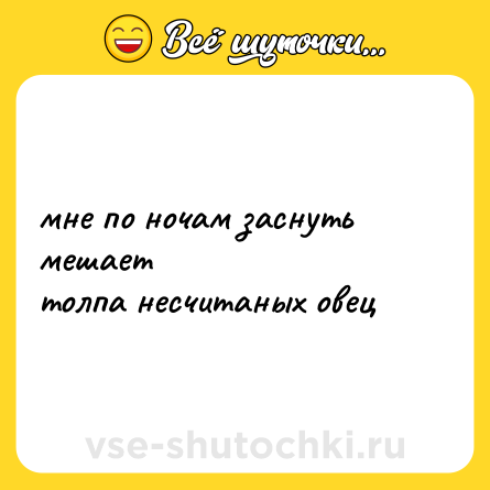 Шутка: мне по ночам заснуть мешает<br>толпа несчитаных овец