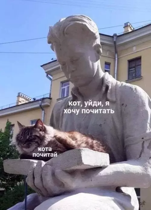 Смешная картинка №680221 коты