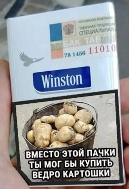Смешная картинка №401849 Действительно мотивирующие надписи