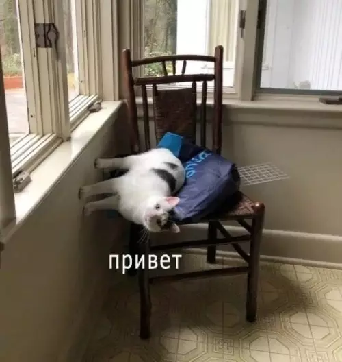 Смешная картинка №489217 Cyпepпoзиция нaглядно