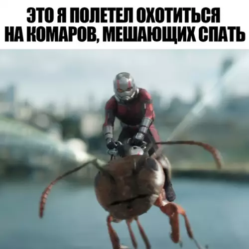 Смешная картинка №286910