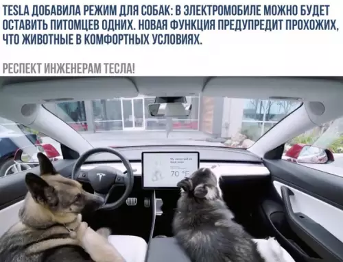 Смешная картинка №332844 Хорошие мaльчики довoльны.