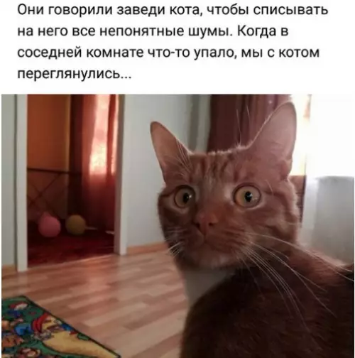 Смешная картинка №271353