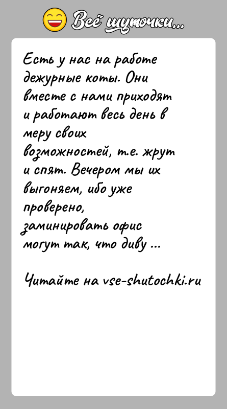 История: Есть у нас на работе дежурные коты. Они вместе с нами приходят и работают весь день в меру своих возможностей,