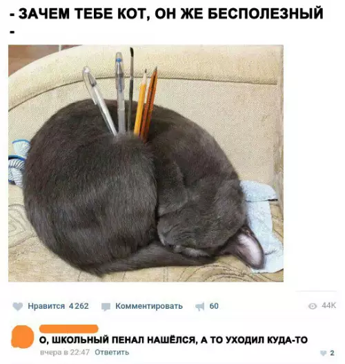 Смешная картинка №285092 кошки