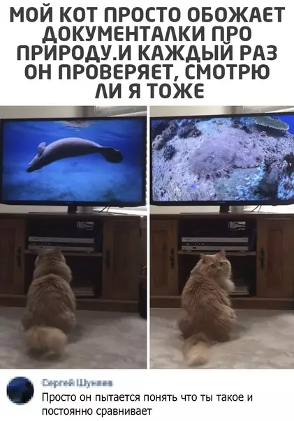 Смешная картинка №553396