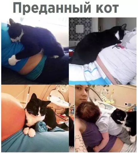 Смешная картинка №249456