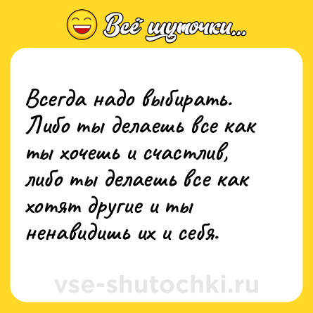 Шутка: Всегда надо выбирать. Либо ты делаешь все как ты хочешь и счастлив, либо ты делаешь все как хотят другие и ты ненавидишь их и себя.