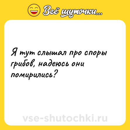 Шутка: Я тут слышал про споры грибов, надеюсь они помирились?<br>