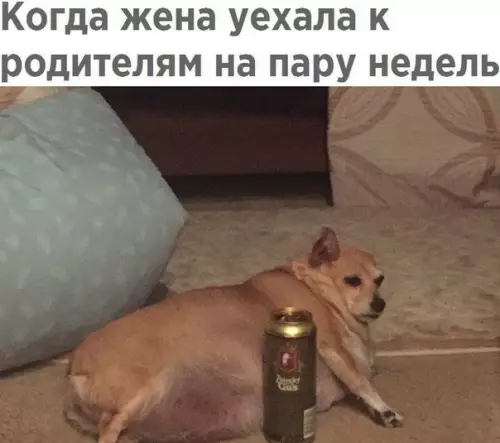 Смешная картинка №535698