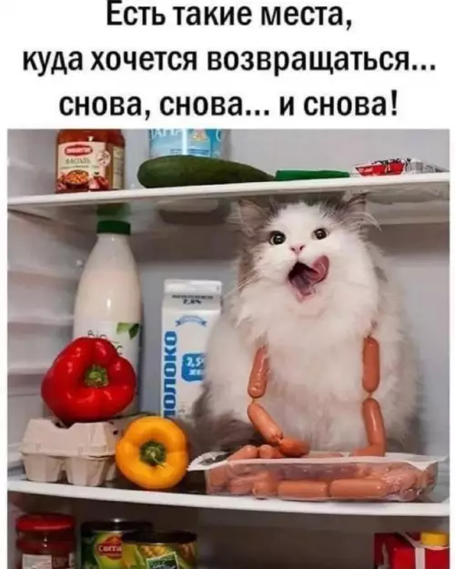 Смешная картинка №690764