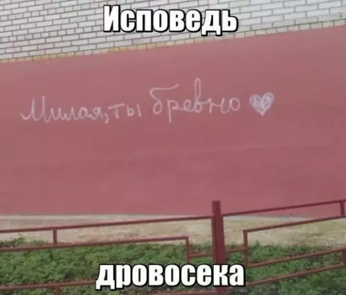 Смешная картинка №173773 бревно, надписи
