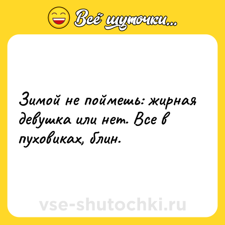 Шутка: Зимой не поймешь: жирная девушка или нет. Все в пуховиках, блин.