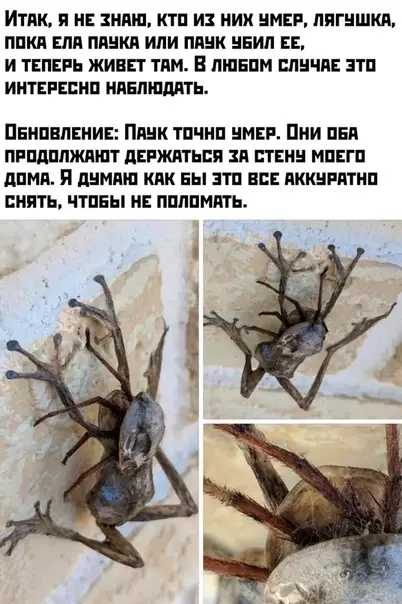 Смешная картинка №418782