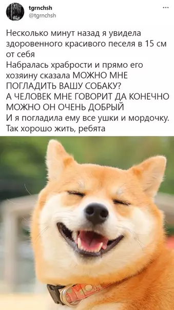 Смешная картинка №621270