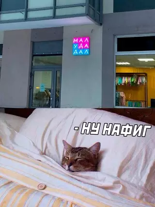 Смешная картинка №671271