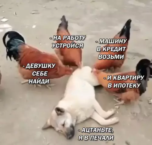 Смешная картинка №259592