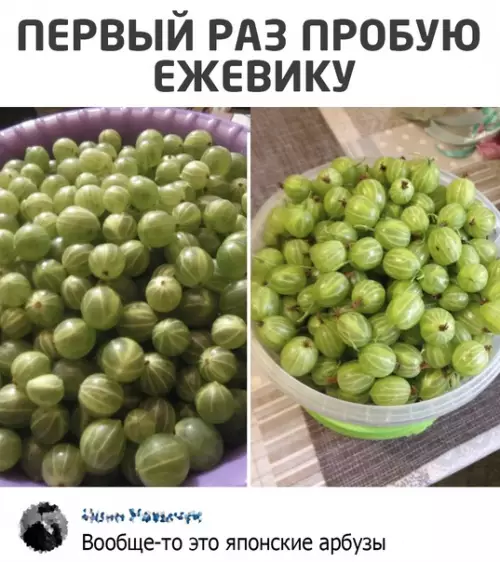 Смешная картинка №571727
