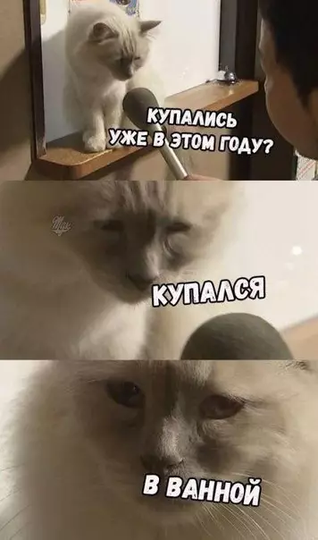 Смешная картинка №195360