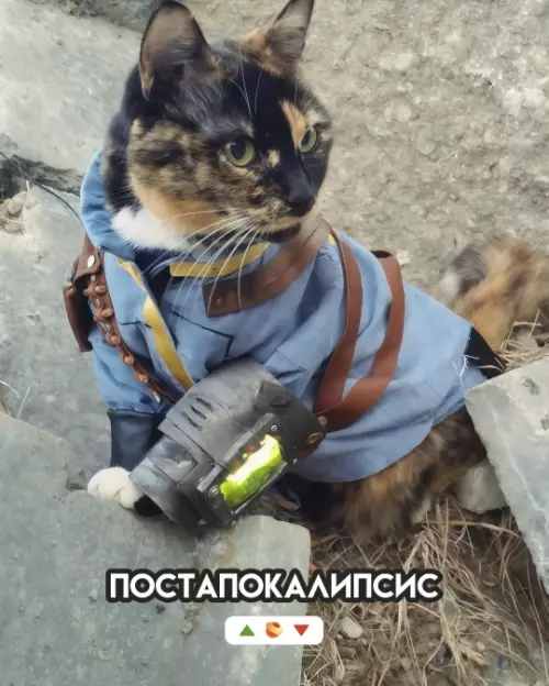 продолжение Смешная картинка №780707