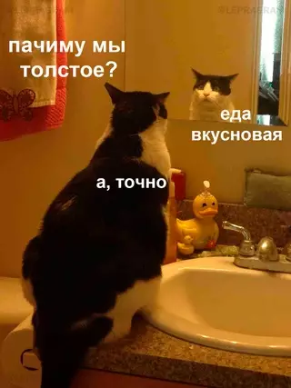 Смешная картинка №681833